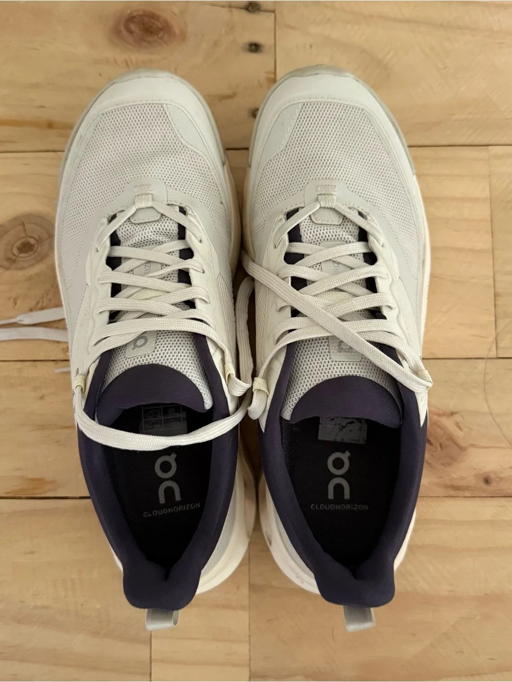 ON Cloudhorizon 2 Women size 9